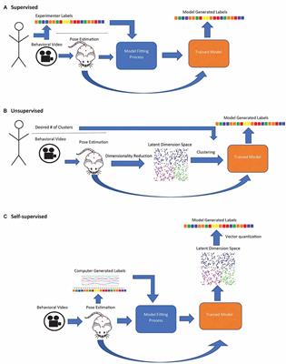 Using deep learning to study emotional behavior in rodent models